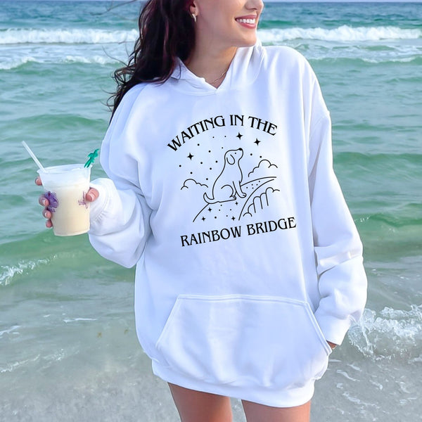 Waiting At The Rainbow Bridge Hoodie – Dog Memorial Tribute
