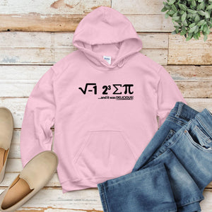 I Ate Some Pie Hoodie – Funny Math Pun for Nerds