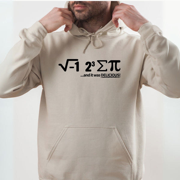 I Ate Some Pie Hoodie – Funny Math Pun for Nerds