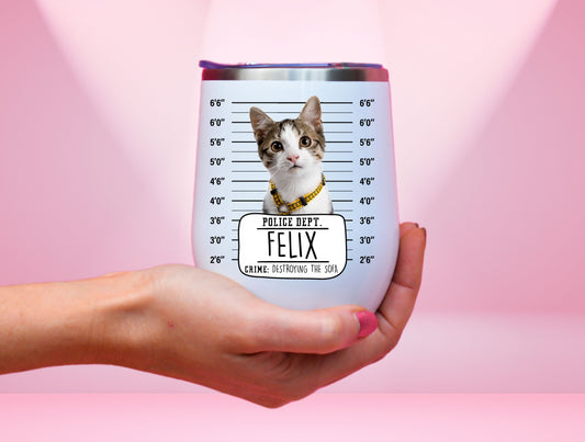 Funny Cat Wine Tumbler, Custom Cat Tumbler For Fur Parents Birthday Gift, Pet Photo Tumbler, Custom Pet Portrait Tumbler For Cat's Week Gift