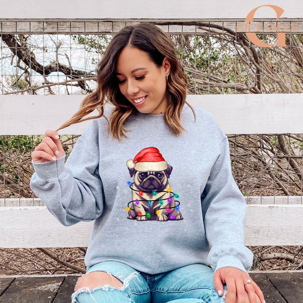 A woman wearing a gray sweatshirt with a pug dog wearing a Santa hat and Christmas lights around its neck, sitting on a bench.